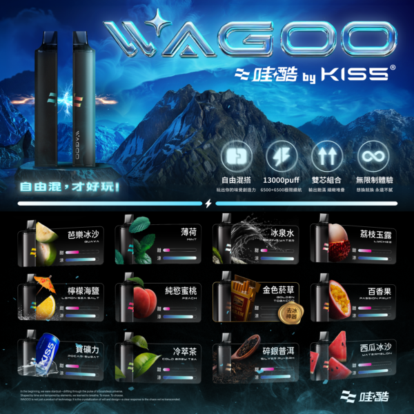新品💥 WAGOO哇酷拋棄式6500口 by KIS5的高端品牌 磁吸組合 雙口味自由混搭 限時活動/滿十送一